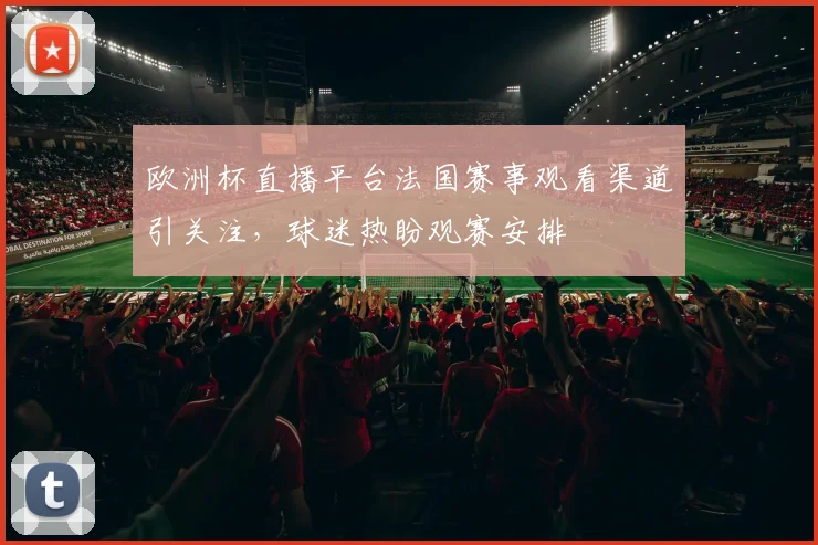 欧洲杯直播平台法国赛事观看渠道引关注，球迷热盼观赛安排