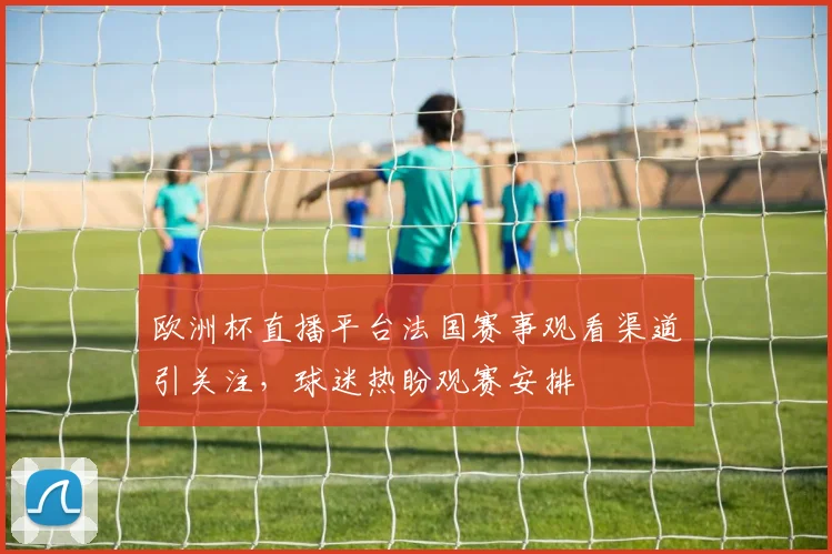 欧洲杯直播平台法国赛事观看渠道引关注，球迷热盼观赛安排